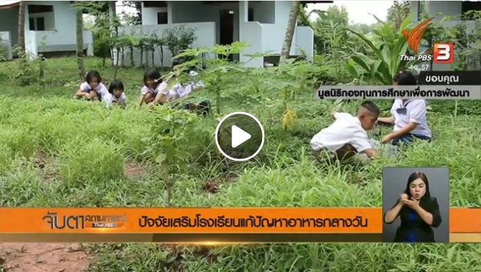 タイのテレビ局PBSがEDFの学校の昼食農業プロジェクトを放送(2018年6月19日):